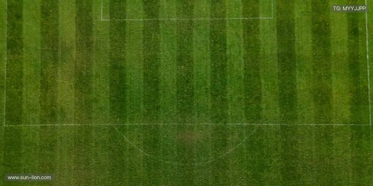 🏀 挑战极限,这里是梦想的起点!🌟